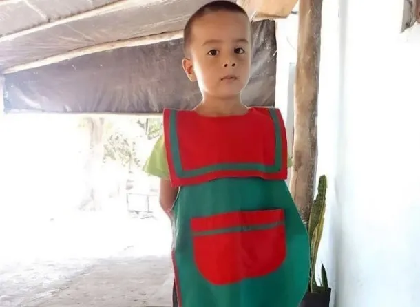 Caso Loan Peña: desconcierto total, una perito sostiene que «el niño continúa en el lugar»