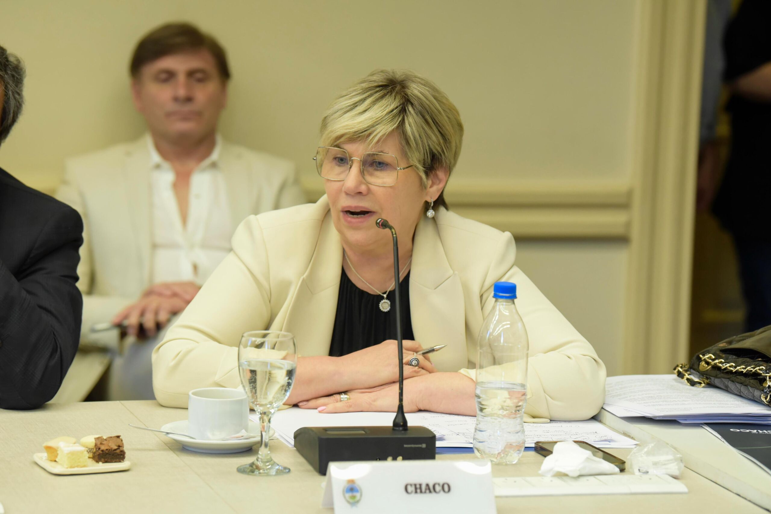 La Ministra Naidenoff participó en el Consejo Federal de Educación que tuvo definiciones para el ciclo lectivo 2025