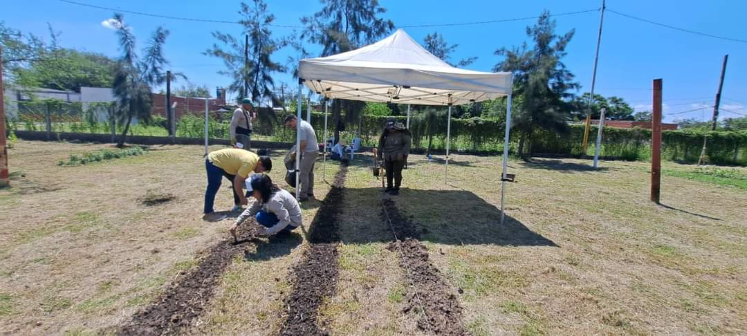 Barranqueras: el programa «Cultivamos Alimentos»  se encuentra 100% activo