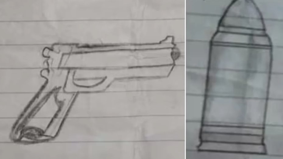 «Se van a arrepentir de llamarme rara”, una nena de 12 años fue con un arma a la escuela en Florencio Varela