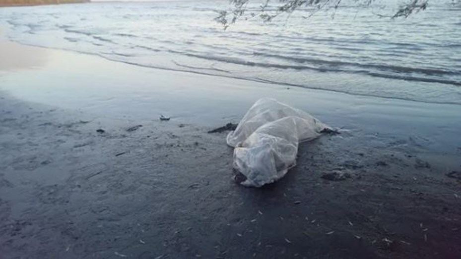 Hallaron a un pescador muerto en la playa de Berisso