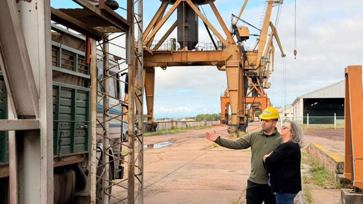 El puerto de Barranqueras consolida su actividad con nuevos envíos de semillas de girasol.