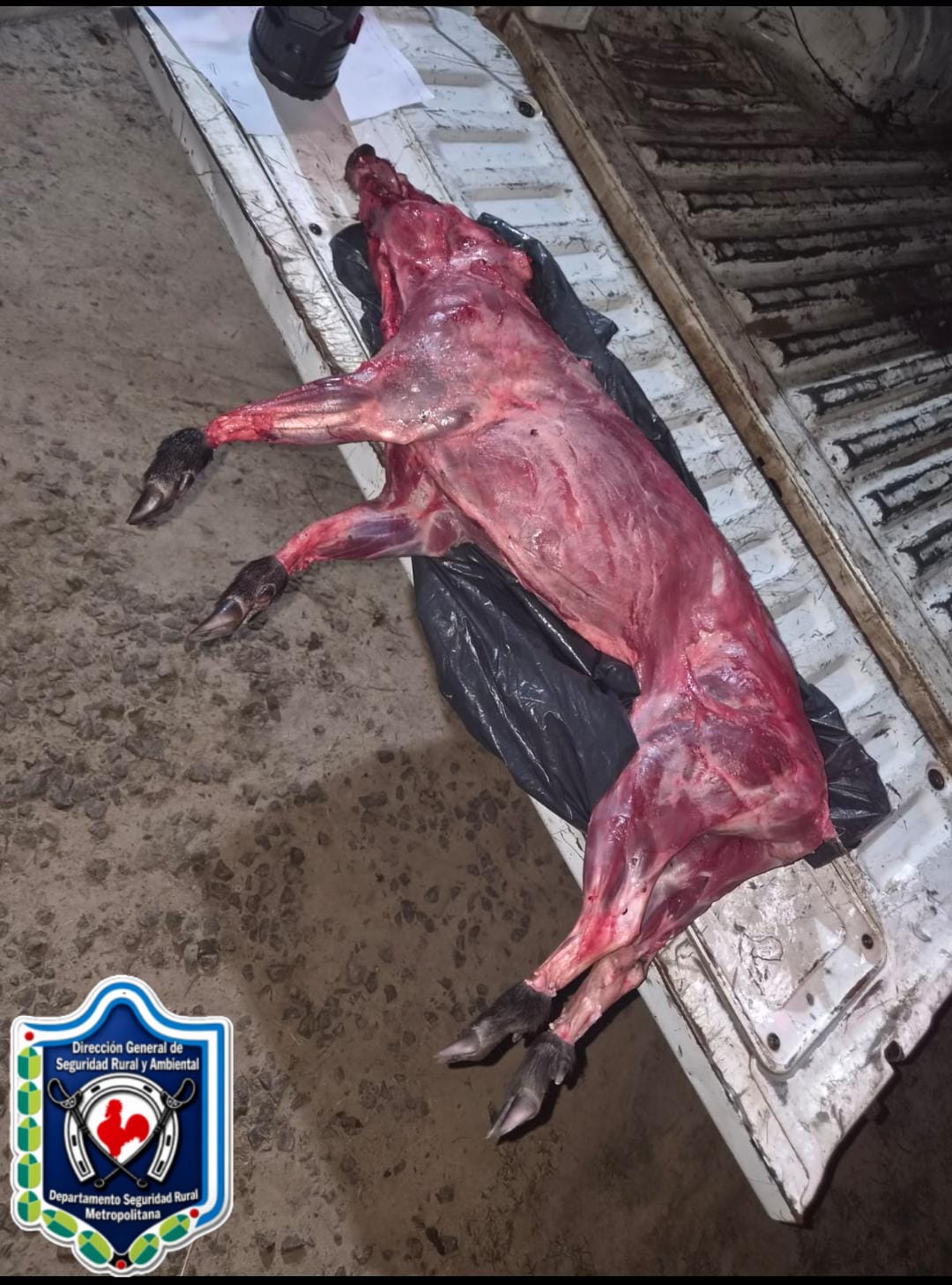 Paranacito: infraccionaron a un hombre por caza ilegal y decomisaron carne de animal silvestre 