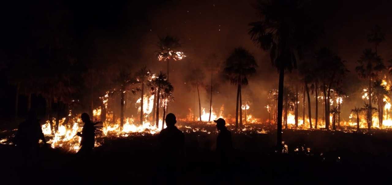 Los bomberos lograron controlar un incendio en el paraje “La Haumonía”