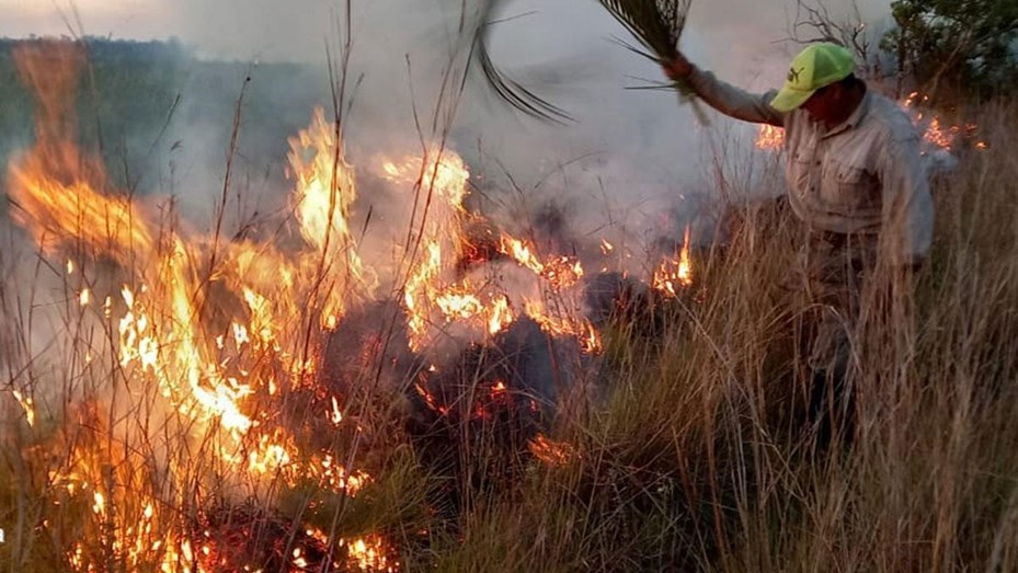 Incendios en Corrientes: 800 mil hectáreas quemadas y pérdidas de $26 mil millones
