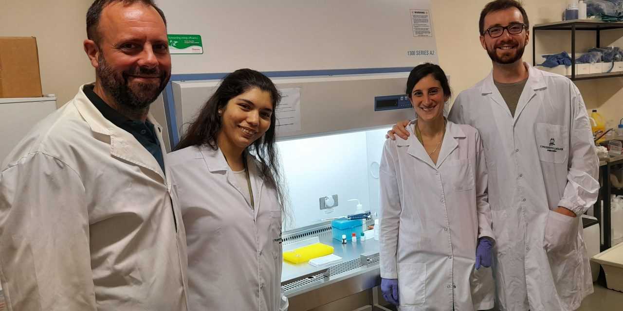 Reportan por primera vez el impacto de la vacunación contra COVID-19 en geriátricos