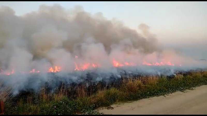 El incendio en un portal de los Esteros del Iberá lleva más de 50 días y arrasó con 5 mil hectáreas