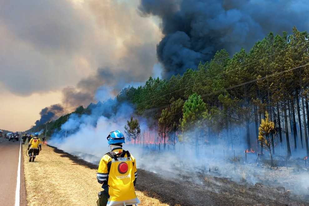 Corrientes y Misiones registran focos activos de incendios forestales
