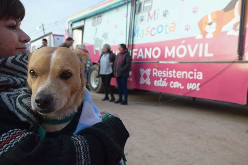 El operativo de castración gratuita de mascotas estará en el barrio 80 viviendas