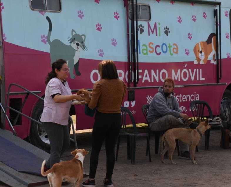 “Mi Mascota”: el cronograma en lo que resta de abril