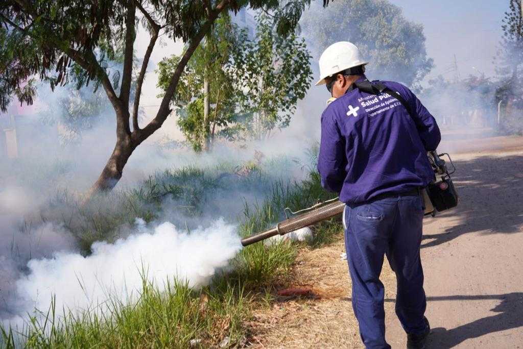 Fumigación espacial y saneamiento ambiental contra el Dengue y Chikungunya: sectores donde trabajará Salud Pública