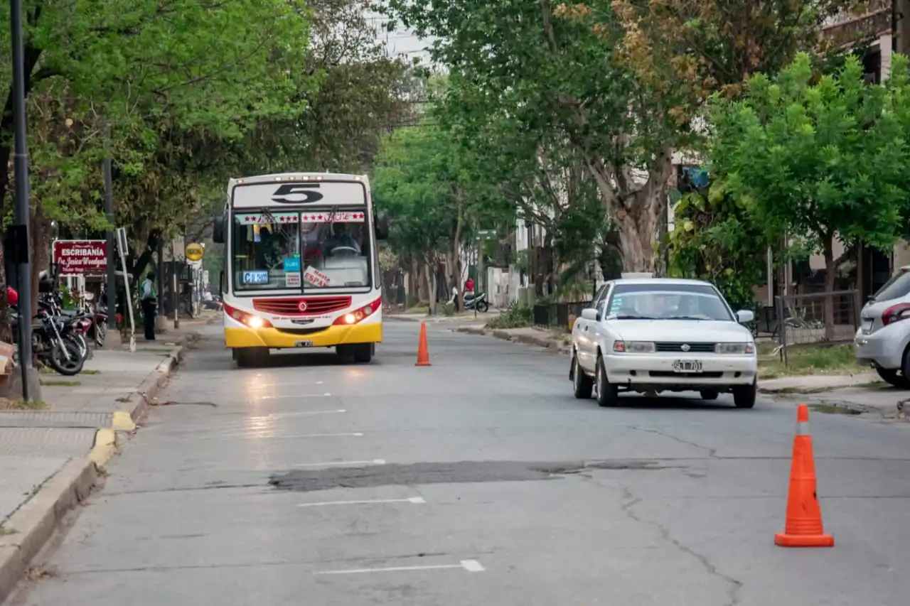 Paro de colectivos: la ministra de Trabajo anticipó que dictará la conciliación obligatoria