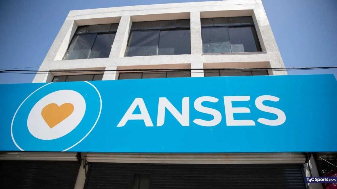 Anses pagará Pensiones No Contributivas a titulares con DNI terminado en 4 y 5