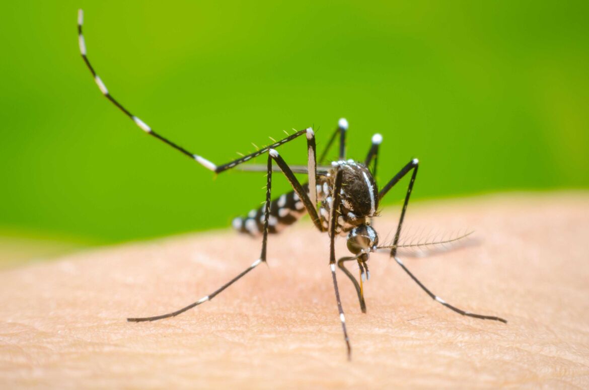 Falleció un hombre con dengue en Corrientes