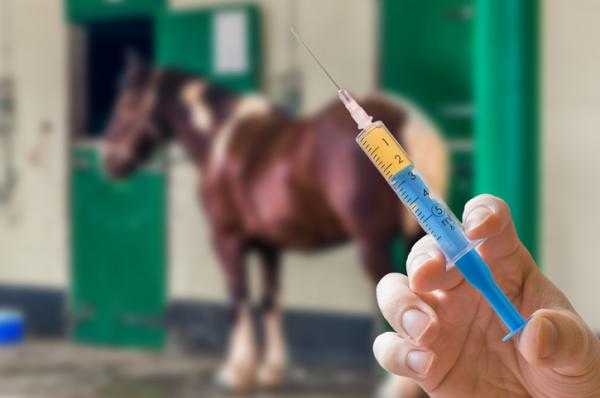 La vacuna contra la encefalomielitis equina «nunca se prohibió», aseguran desde el Senasa