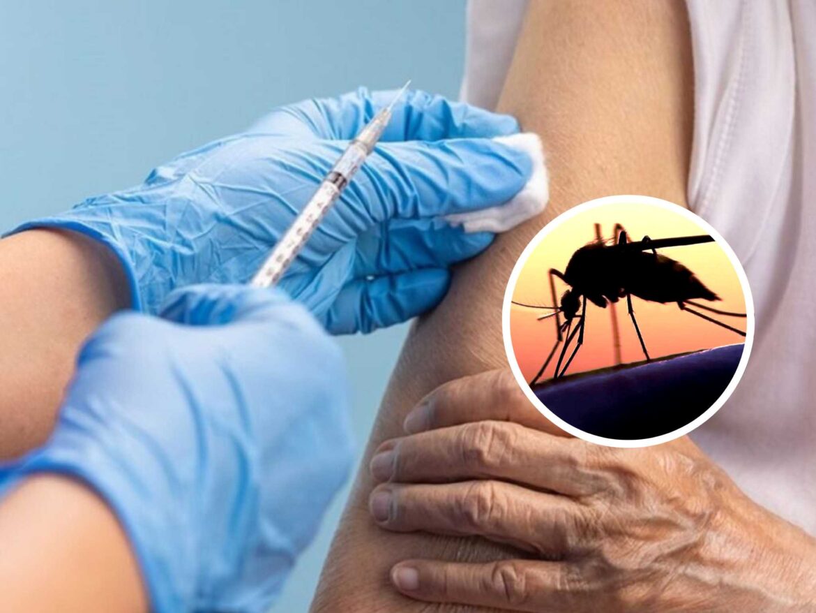 Las vacunas contra el Dengue llegaron al Chaco