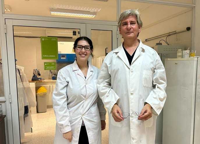 Ensayan la eficacia antiinflamatoria y anticancerígena de especies autóctonas del Iberá