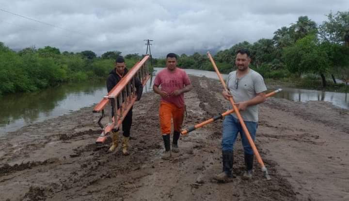 Puerto Vilelas: El Municipio intensifica el mantenimiento de redes eléctricas en la zonas rurales