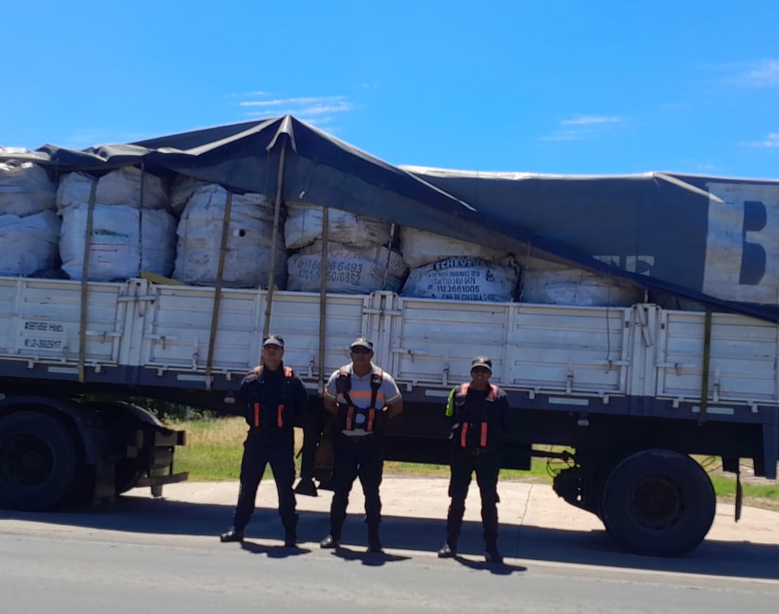 Policía Caminera: realizaron tres intervenciones por irregularidades, 2 animales sueltos e incautó un arma de fuego