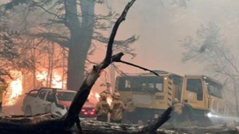 Ofrecen millonaria recompensa para obtener información sobre quién originó el incendio en el Parque Nacional Los Alerces