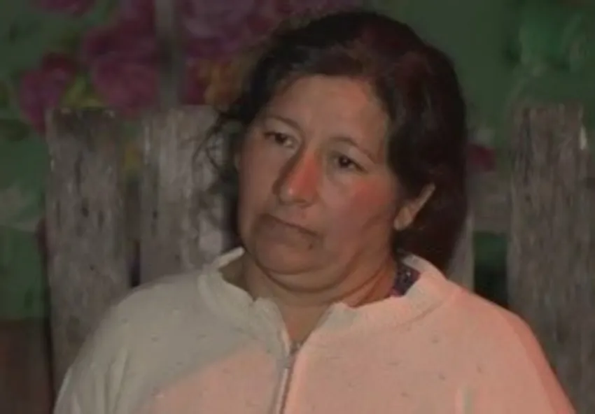 Nueva declaración: Laudelina pidió perdón por mentir y ahora dijo que «se lo llevaron»