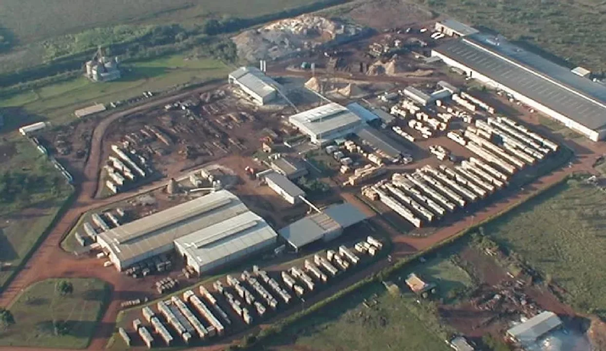 El aserradero más grande del país bajó la persiana y 70 familias quedaron en la calle