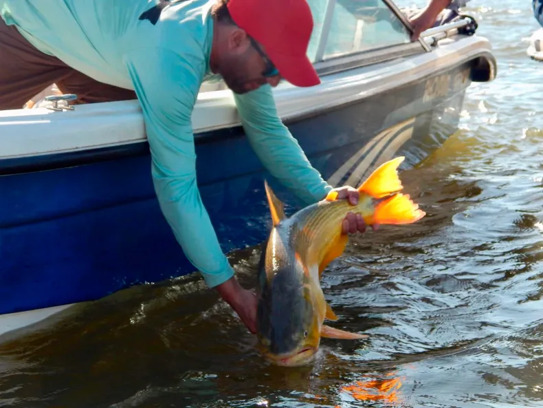 Desde el 13 al 15 de septiembre a disfrutar de la Pesca del Dorado 2024 en la Isla del Cerrito