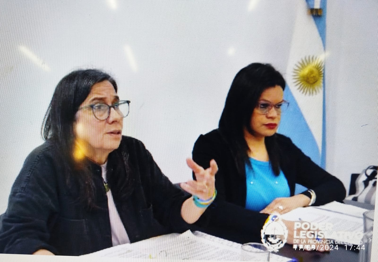 La Comisión de Géneros, Diversidades y Familia analizó iniciativas