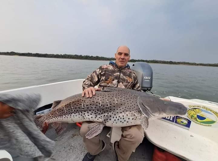 Un santafesino capturo un surubí gigante en Paso de la Patria