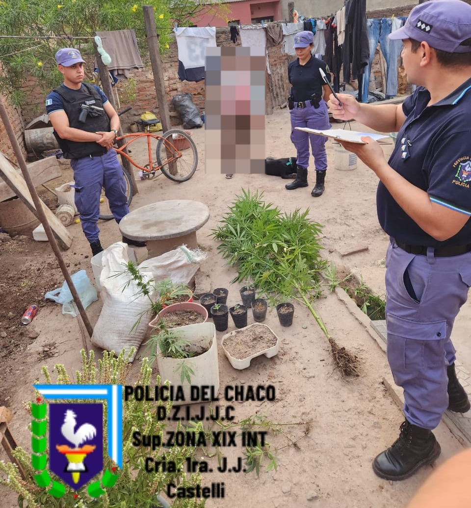 Castelli: su propia madre denunció ante la policía, que tenía 15 plantas de marihuana en el patio