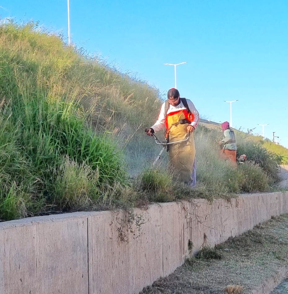 La Municipalidad de Resistencia realizó un operativo de limpieza y desmalezado en la Ruta Nacional N° 11.