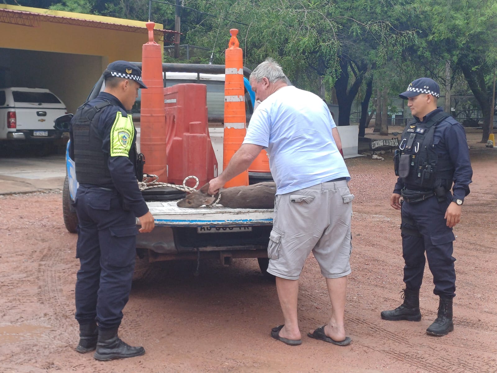 Operadores viales rescatan un animal silvestre que había sido atropellado por un automovilista