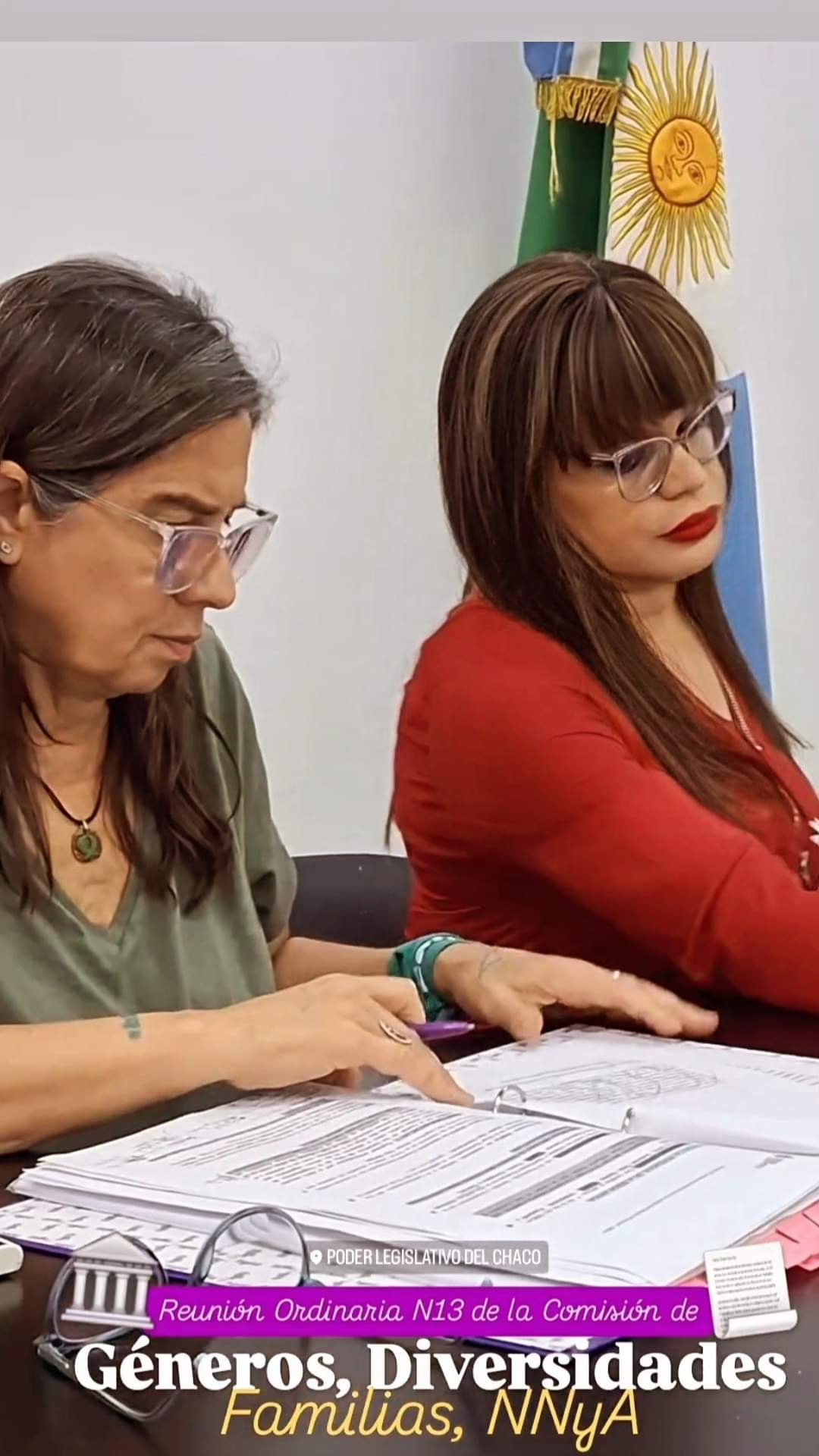 La Comisión de Géneros, Diversidades y Familia trató iniciativas