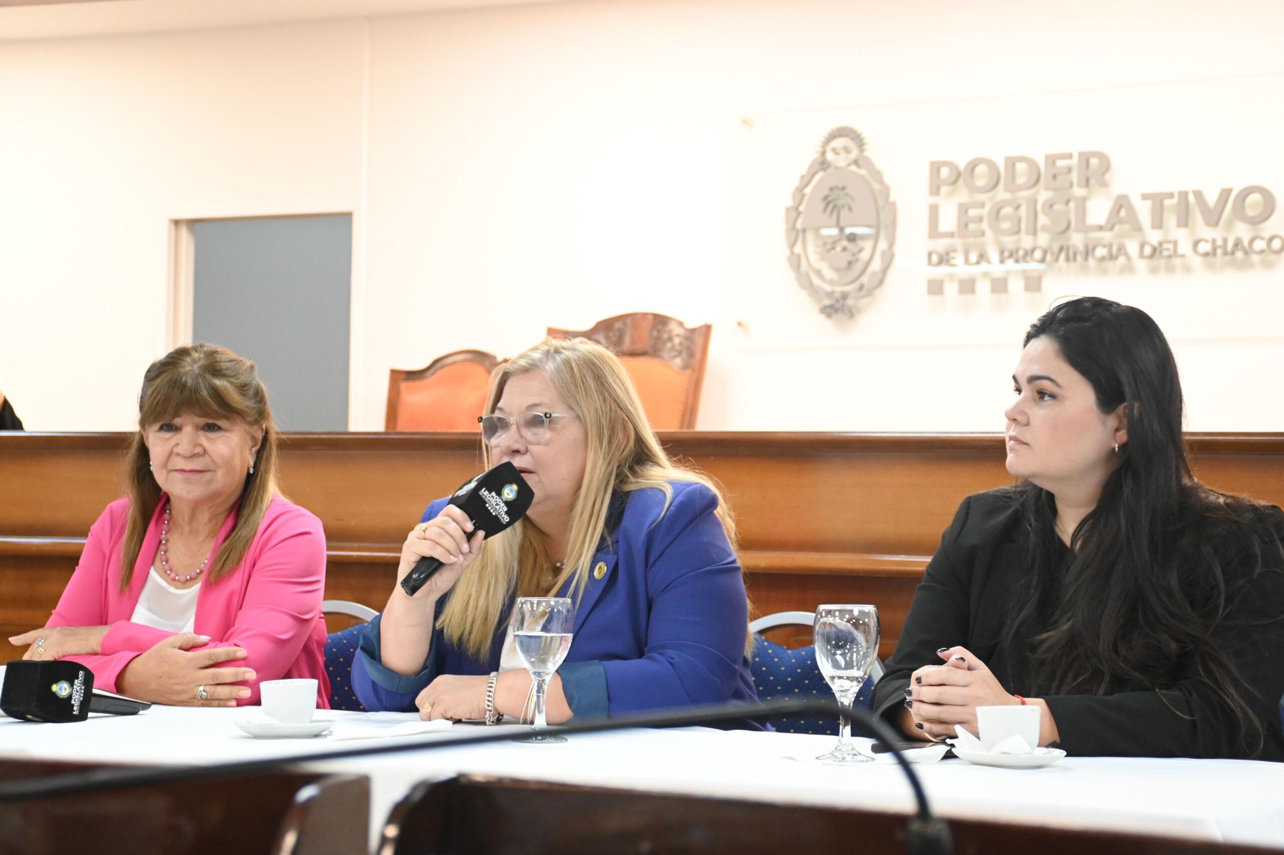 Mes de la educación especial: la Legislatura renueva el compromiso de trabajar por una provincia más inclusiva