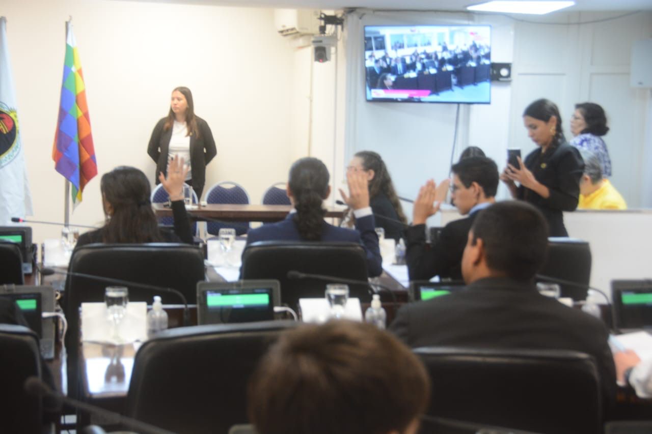 Educación: estudiantes debatieron sobre alimentación saludable, salud mental y becas en el Poder Legislativo Juvenil