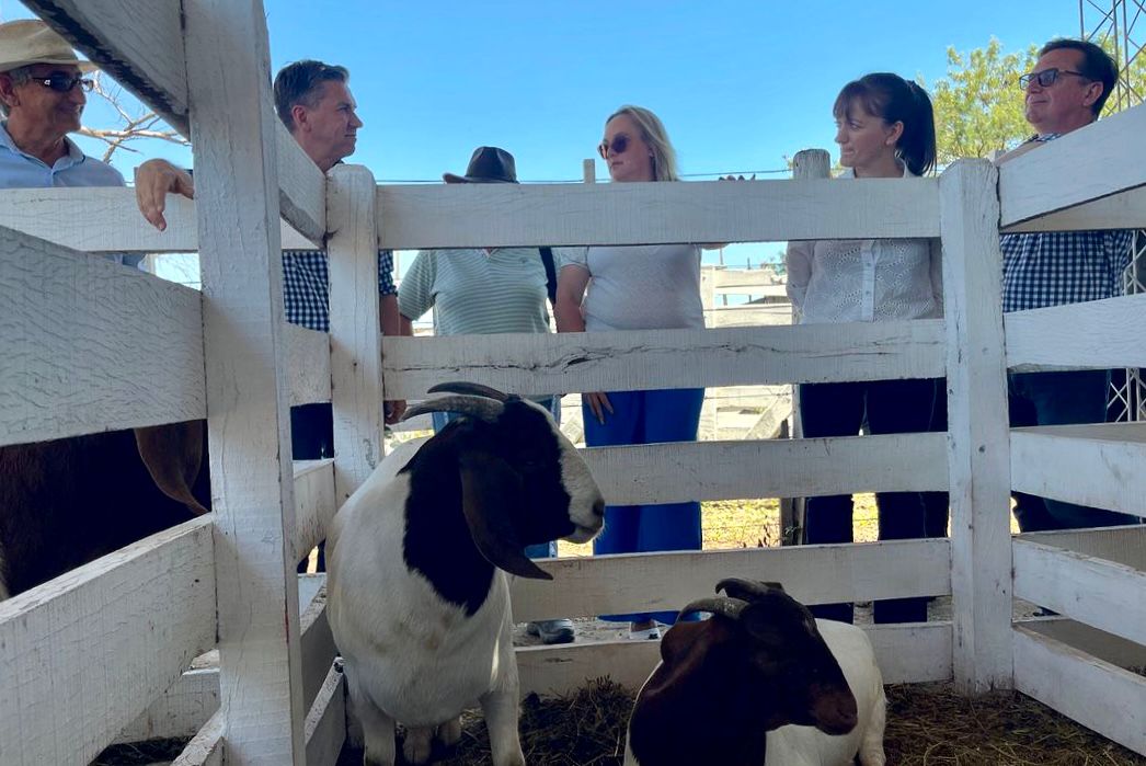 Fiesta Provincial del Chivo: “La producción chaqueña es de calidad y estamos por el buen camino”, afirmó el Gobernador Zdero