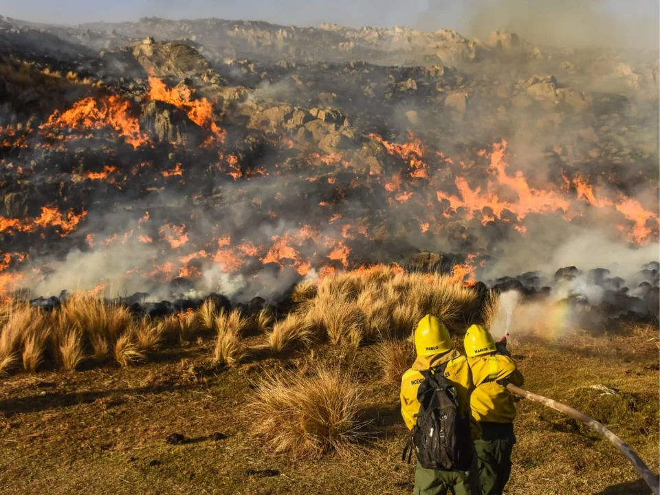 Condenaron a un hombre por provocar un incendio forestal en Córdoba