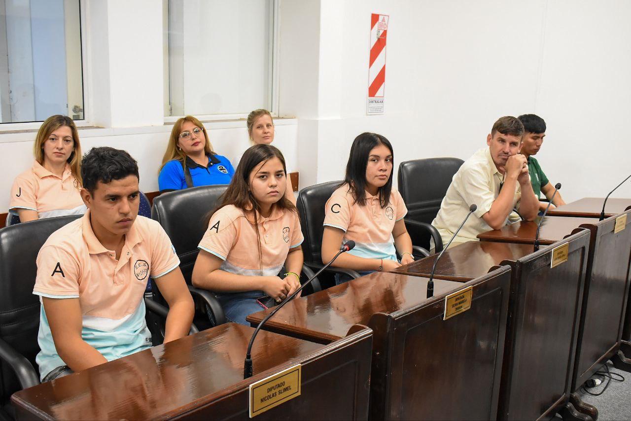 Estudiantes de La Leonesa y Qutilipi visitaron el Poder Legislativo