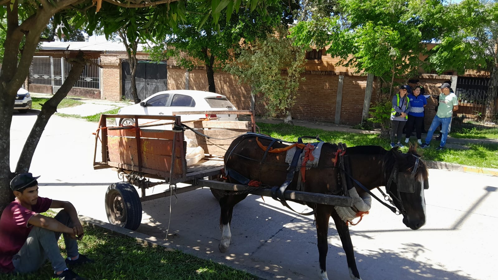 Guardia Urbana Municipal intervino en un supuesto caso de maltrato animal