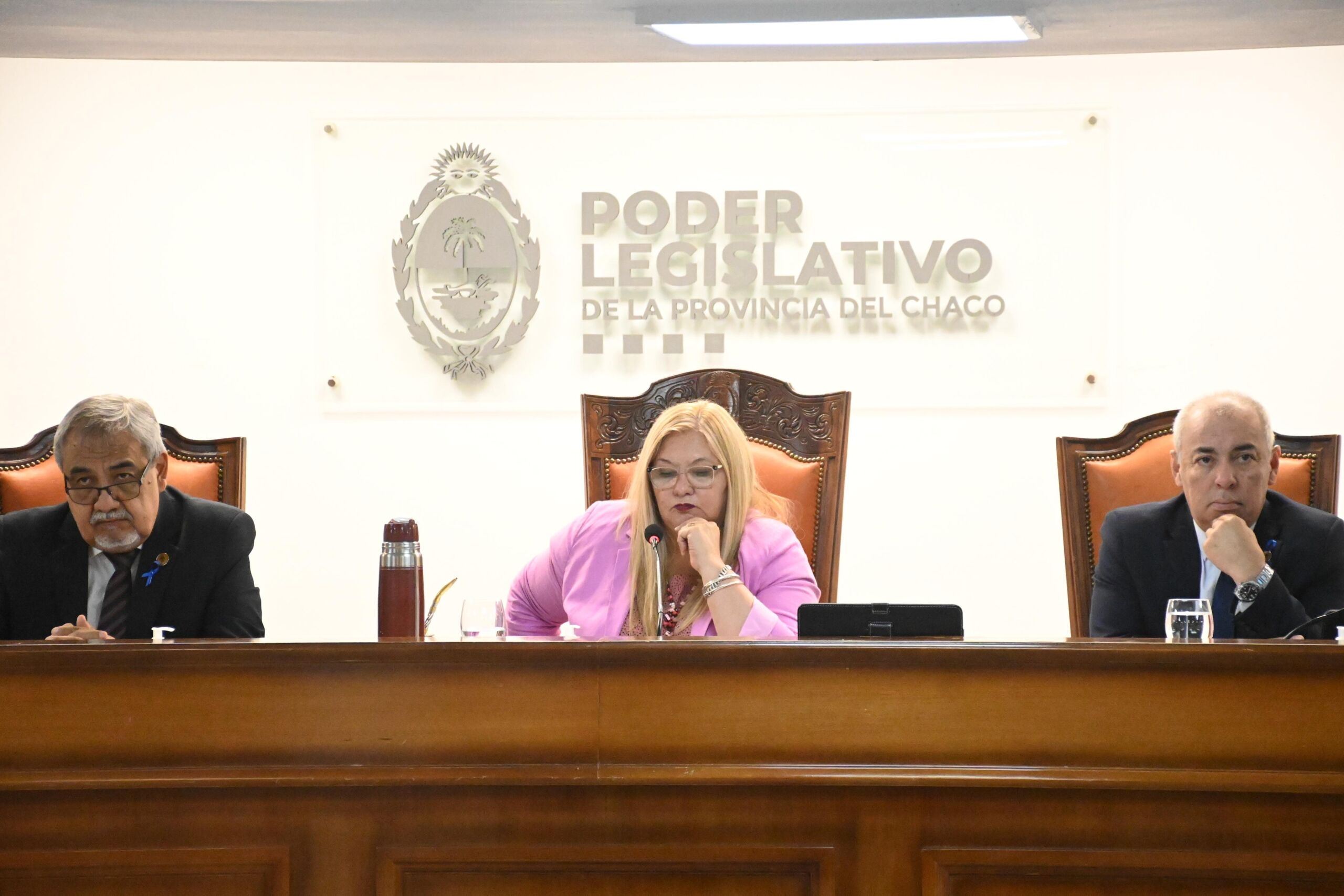 La Legislatura aprobó la suspensión de las Paso y la regulación de la inteligencia artificial en el sistema educativo