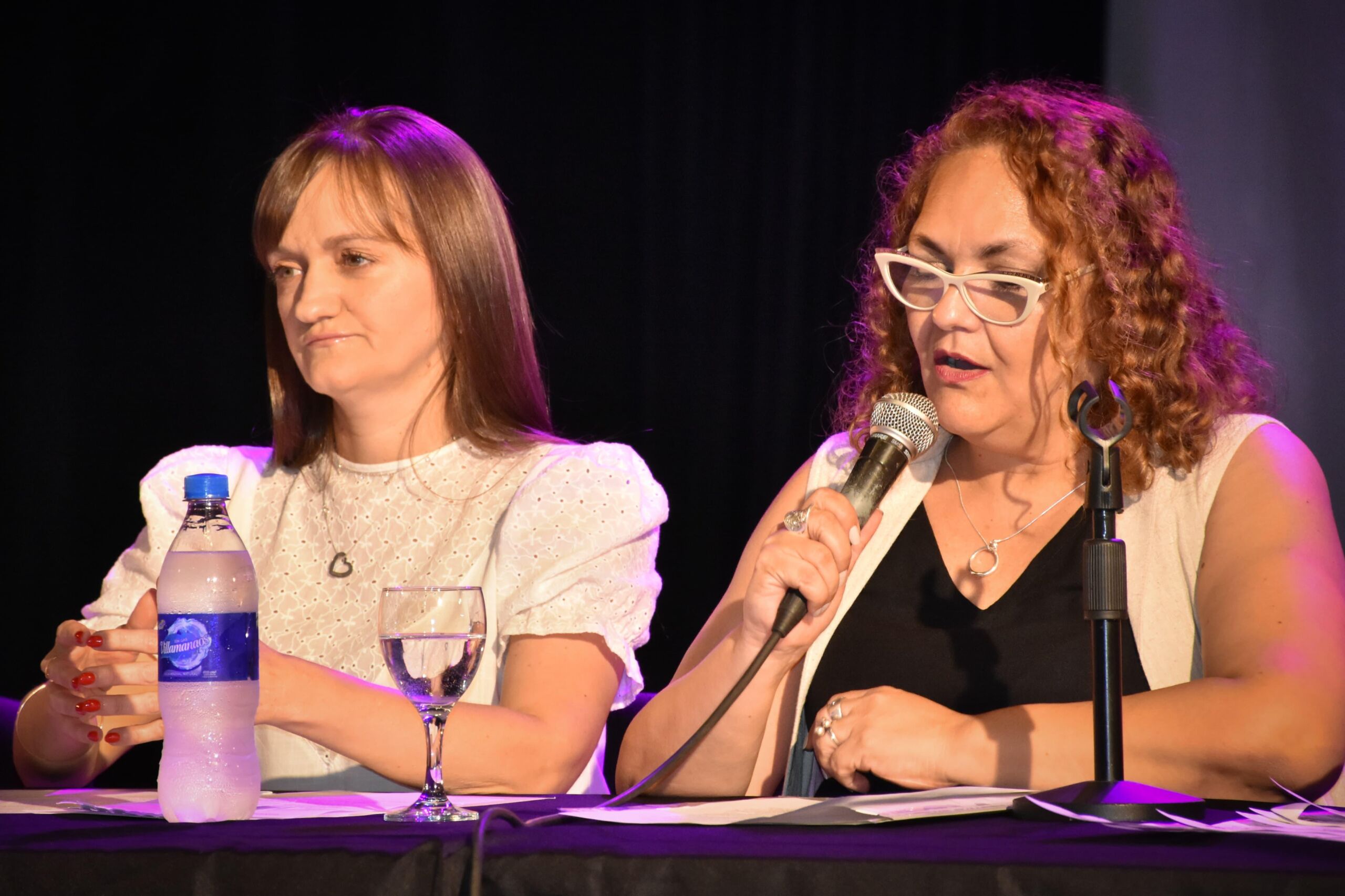 La Vicegobernadora Schneider acompañó el conversatorio por el Día Internacional de la Eliminación de la Violencia contra la Mujer