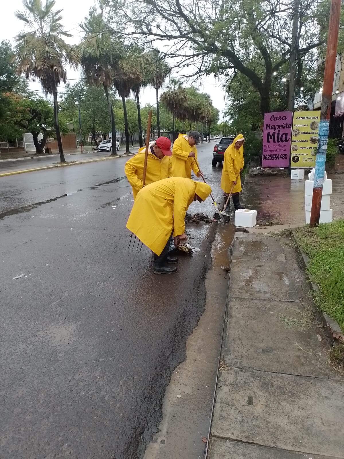 Varias intervenciones tuvieron las cuadrillas municipales durante el temporal