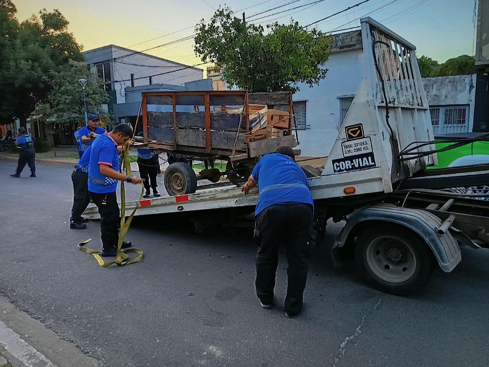 Rescataron a un caballo y decomisaron el carro que tiraba, tras accidente vial