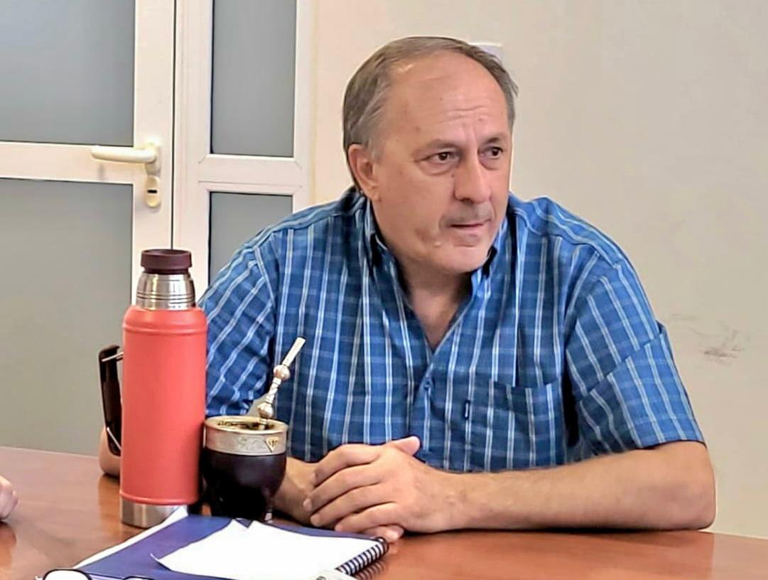 Algodón: Producción confirmó que se está verificando la superficie sembrada