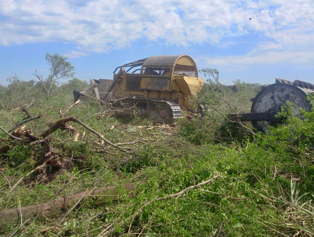 Detienen un desmonte ilegal en cercanías de Tres Isletas