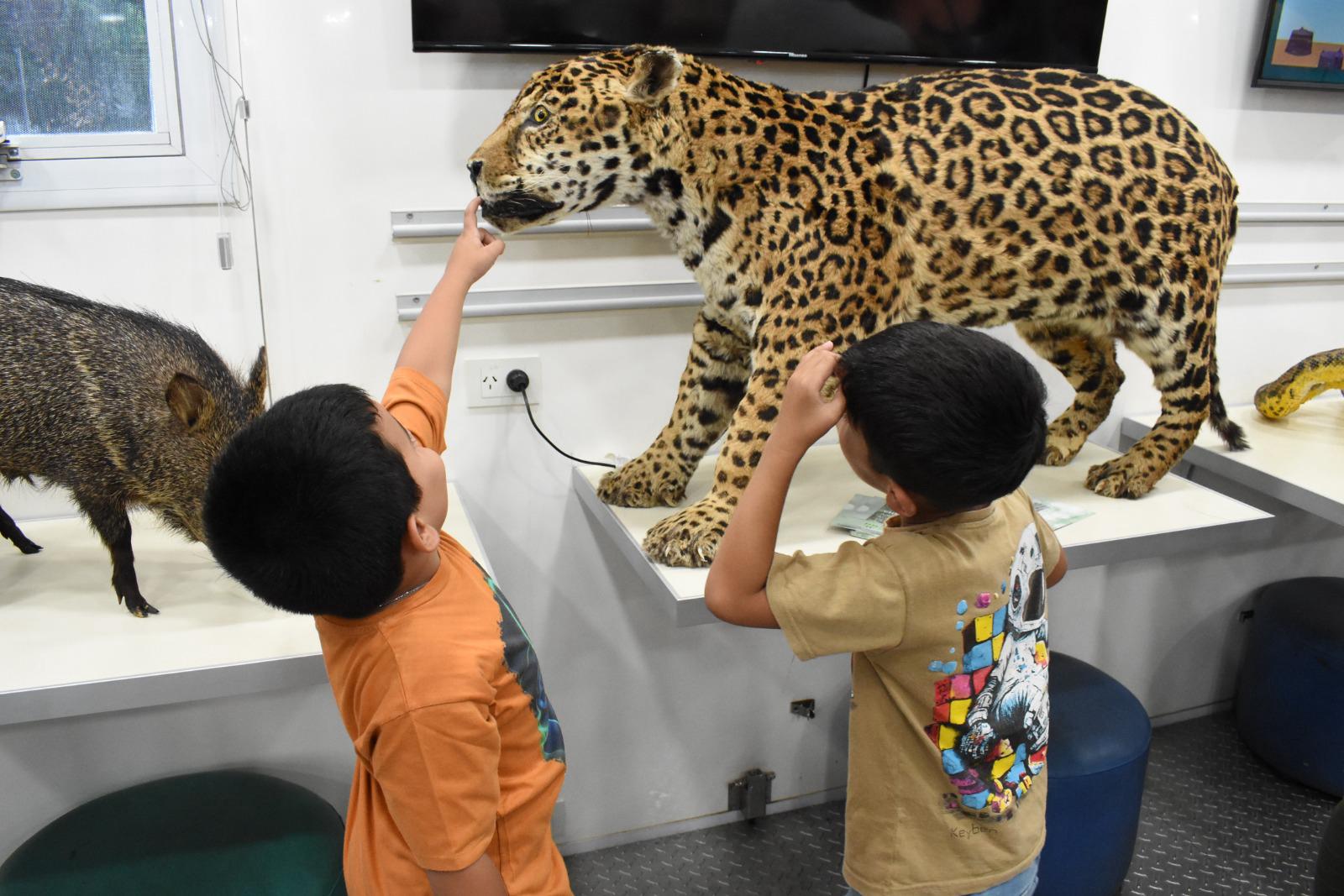 Aprender en Verano: exitosa exposición del Monte Chaqueño en el Aula Taller Móvil instalado en la plaza central