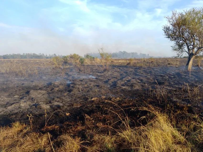 Acusado de los incendios forestales en Corrientes quedó libre por falta de pruebas