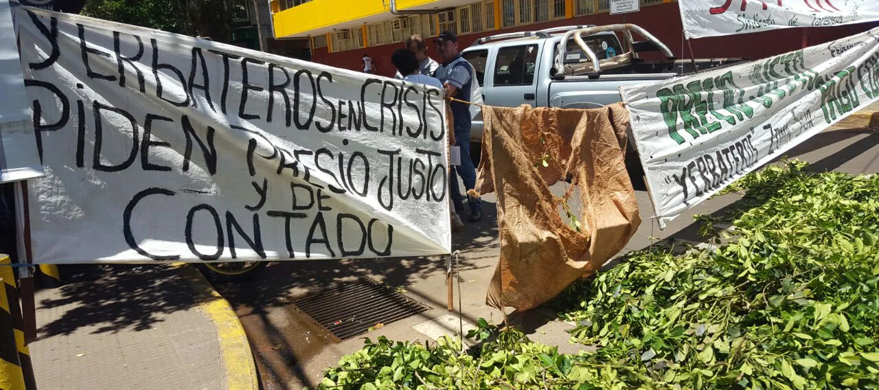 Productores queman plantas de yerba mate en Misiones para protestar por los precios