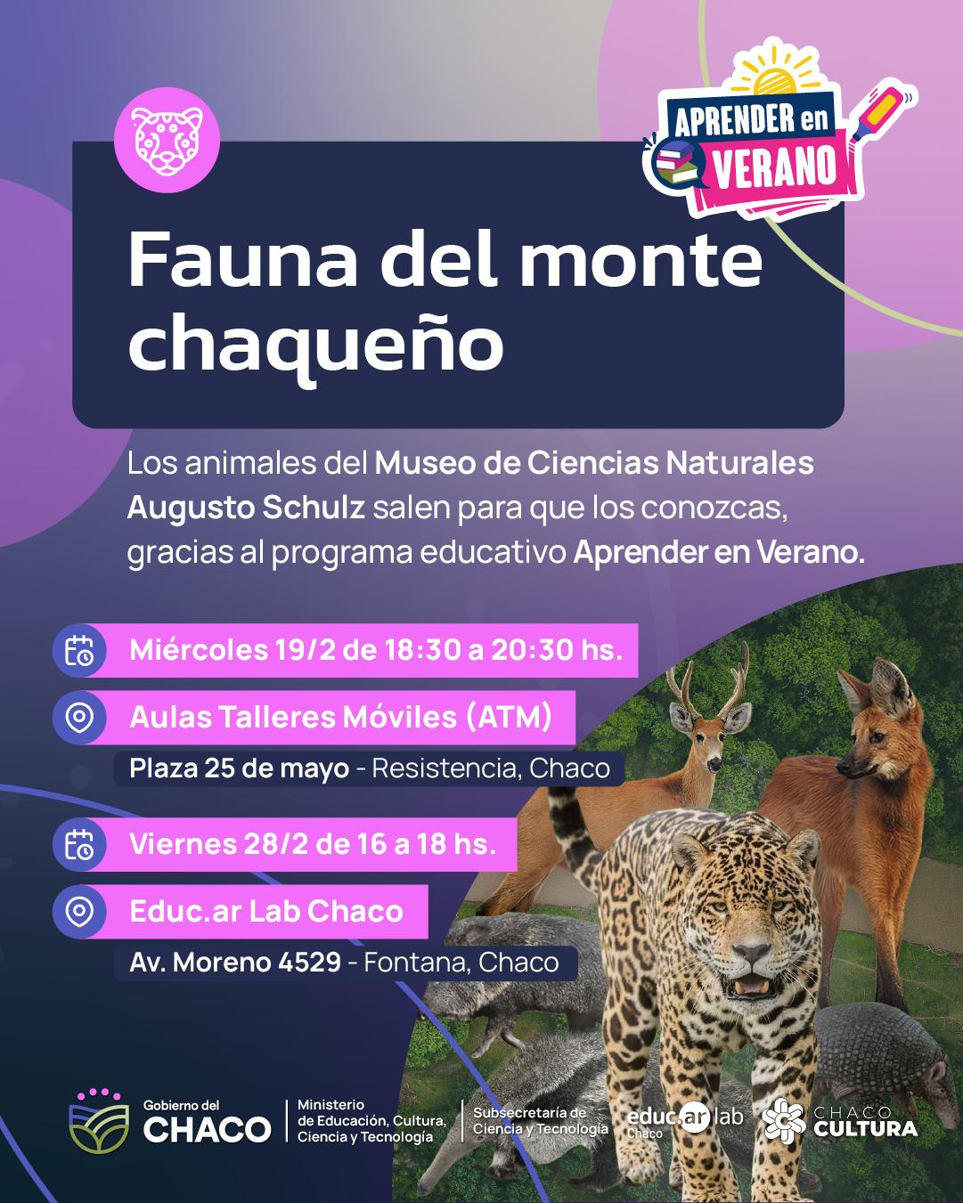 Aprender en Verano: una exposición del monte chaqueño del museo de Ciencias Naturales llega al Aula Taller Móvil y Educ.ar Lab Chaco