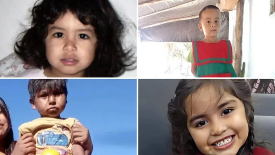 Cuántas veces se activó el Alerta Sofía en la Argentina